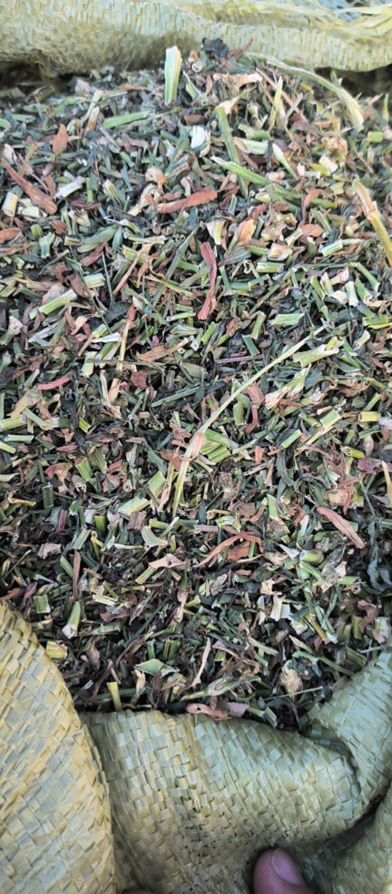 瞿麦中药材批发瞿麦质量保证量大从优