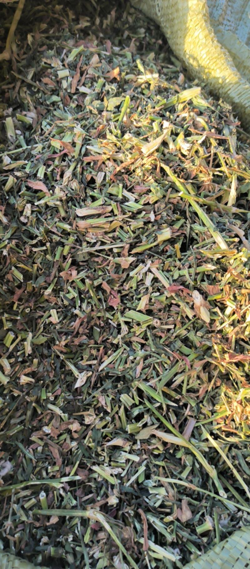 瞿麦中药材批发瞿麦质量保证量大从优