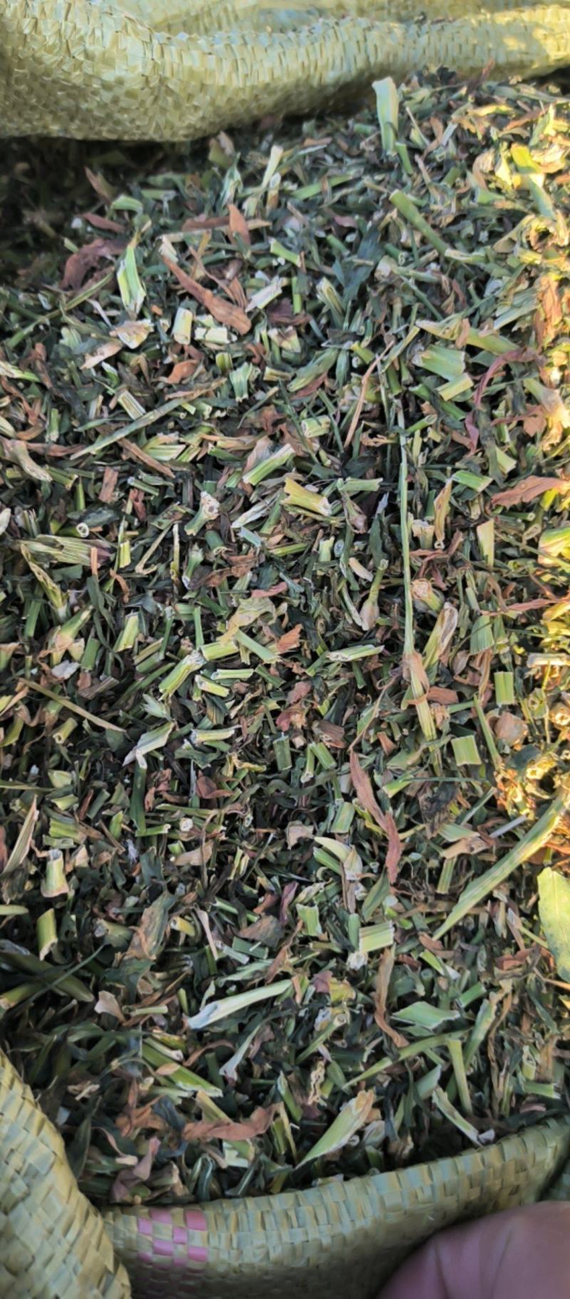 瞿麦中药材批发瞿麦质量保证量大从优
