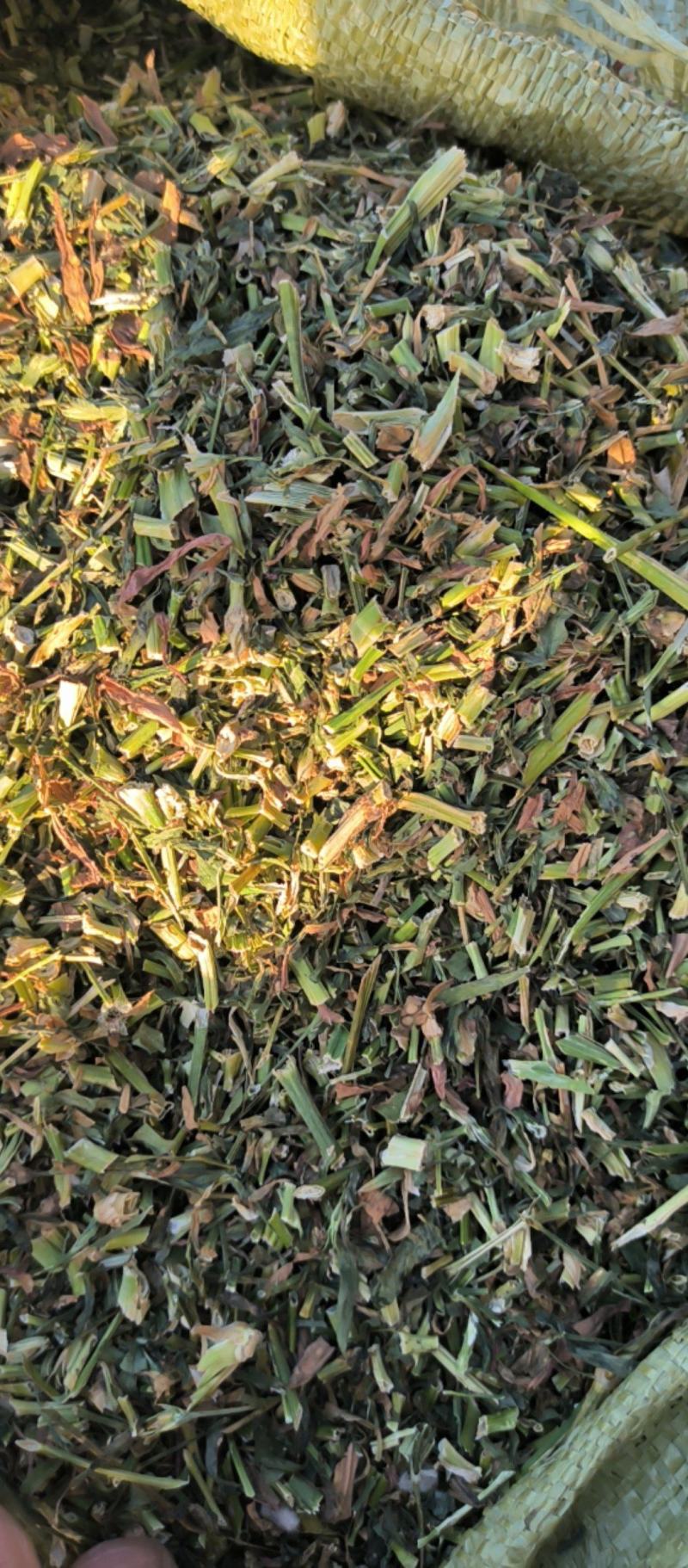 瞿麦中药材批发瞿麦质量保证量大从优