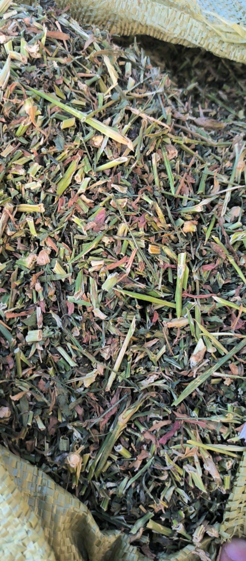 瞿麦中药材批发瞿麦质量保证量大从优
