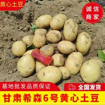 [精选]甘肃土豆黄心土豆希森沃6号无虫眼专业代办