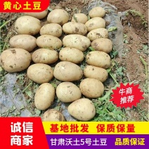 [推荐]甘肃土豆沃土5号万亩基地产地直发规格齐全