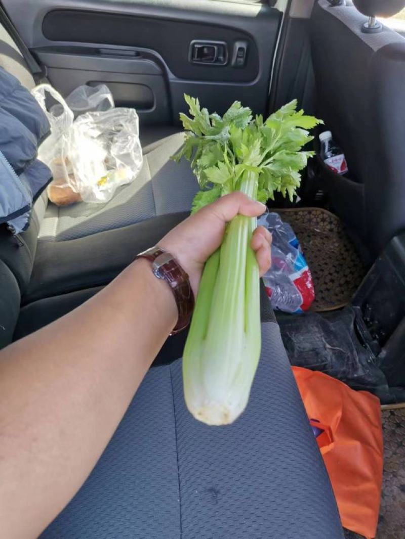青菜