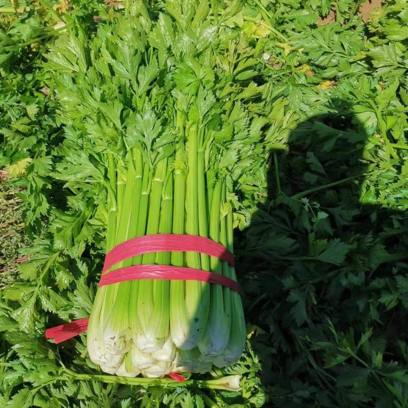 青菜