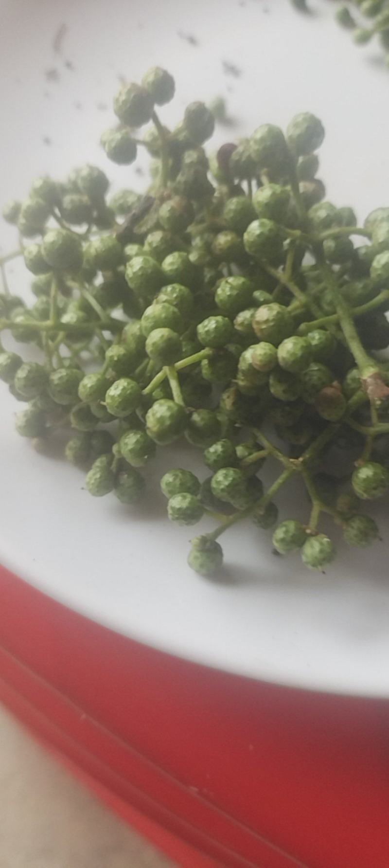 本地小花椒香麻十足，美味可口，量很小欢迎零售客户前来选购