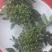 本地小花椒香麻十足，美味可口，量很小欢迎零售客户前来选购