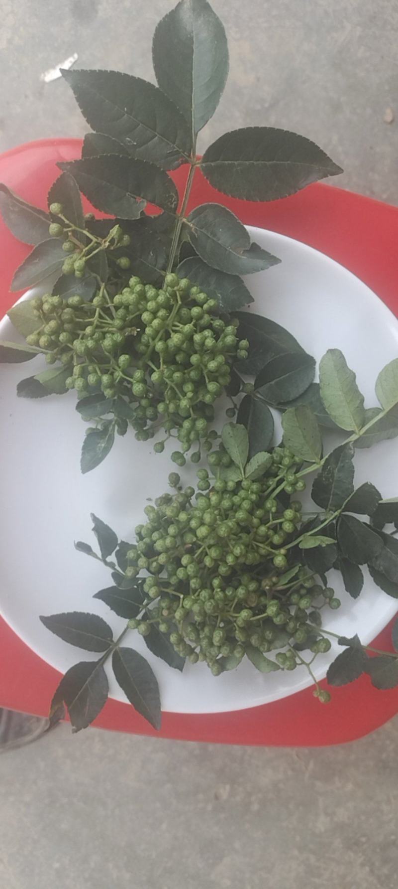 本地小花椒香麻十足，美味可口，量很小欢迎零售客户前来选购