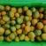 云南玉溪早蜜橘自家种植也可代办诚信合作欢迎联系