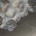 大叶精品二茬蘑菇已上线，欢迎各位老板前来砸单