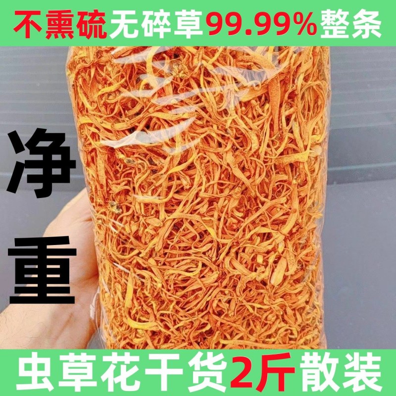 净重虫草花干货正品商用批发金蛹虫草菇煲汤火锅用虫草菇