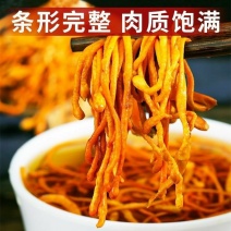 净重虫草花干货正品商用批发金蛹虫草菇煲汤火锅用虫草菇