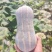 花生瓜，773南瓜，金香南瓜，金韩，出口越南