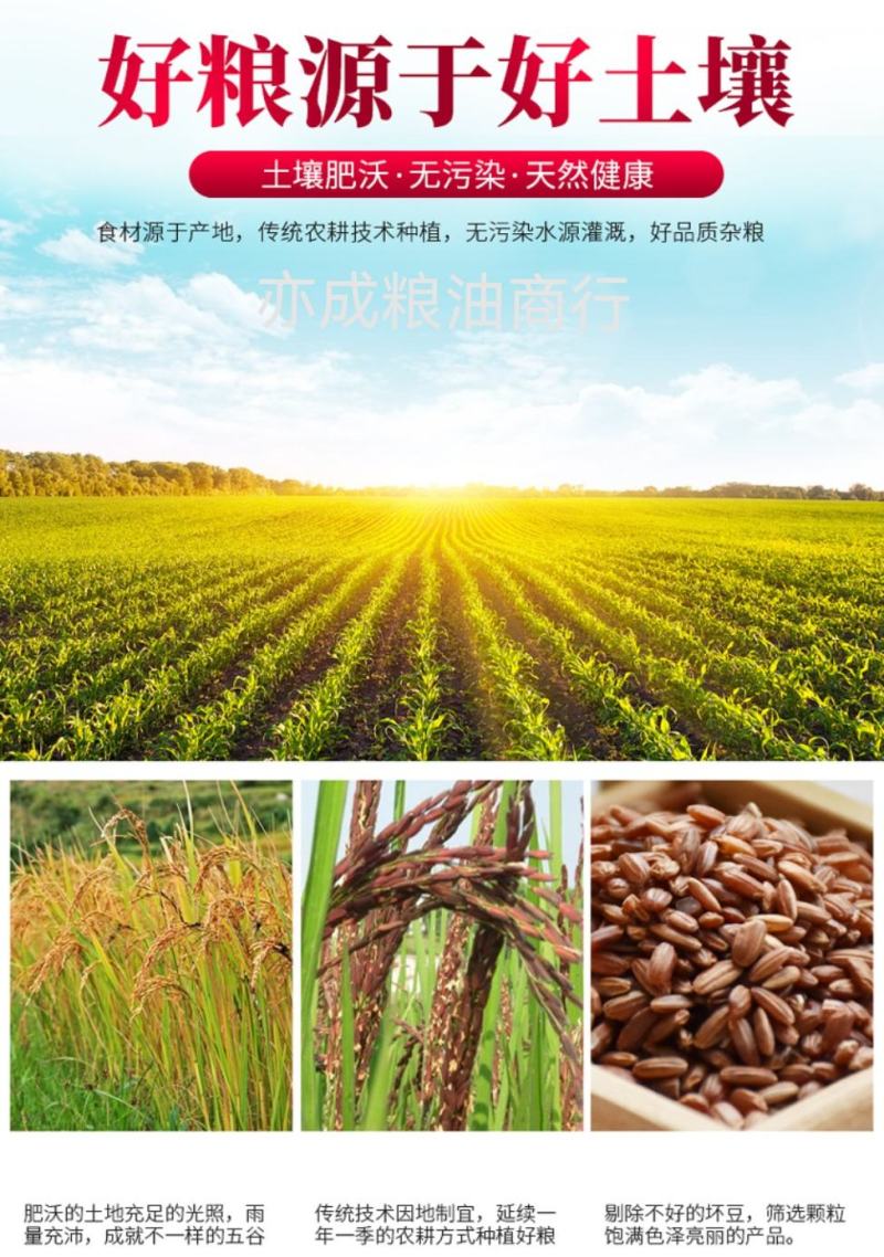 圆粒红米批发圆糙米五谷杂粮当季新货圆红米