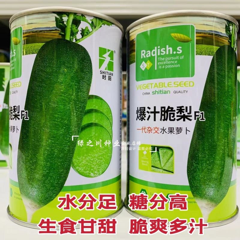 爆汁脆梨水果萝卜种子脆甜多汁水分足糖分高水果青萝卜种子