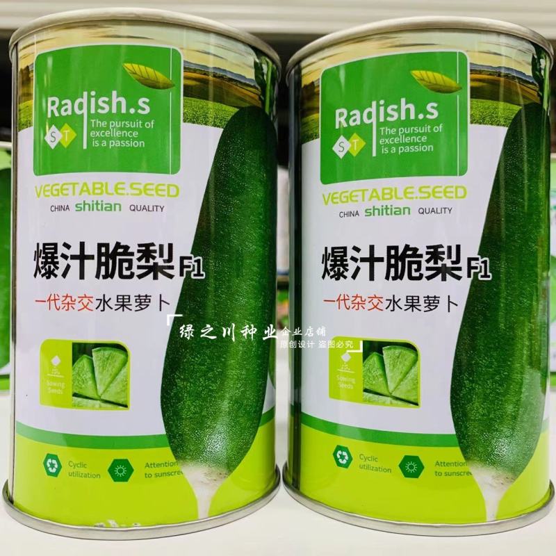 爆汁脆梨水果萝卜种子脆甜多汁水分足糖分高水果青萝卜种子