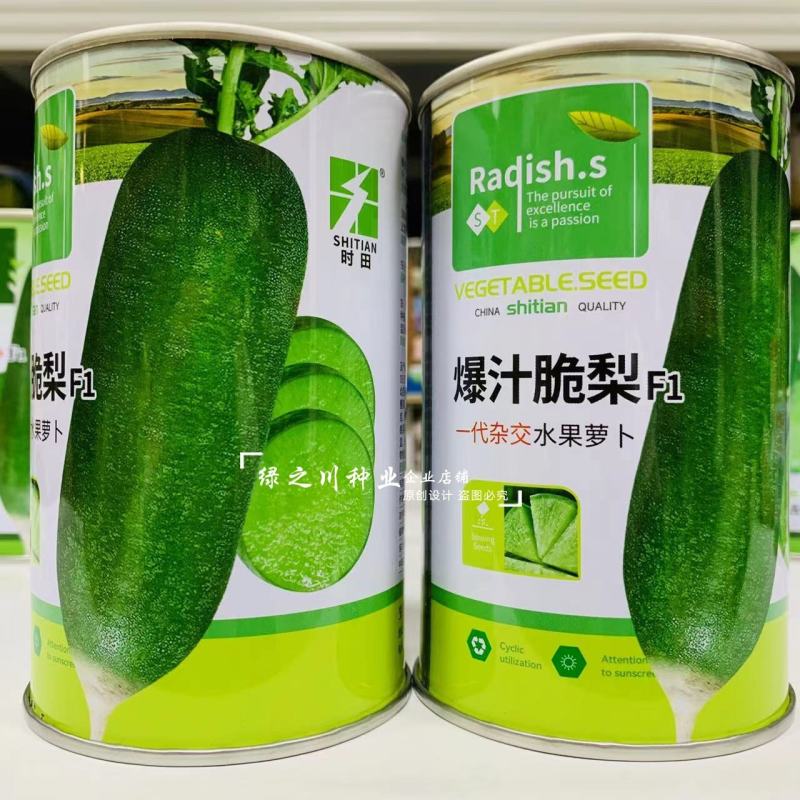 爆汁脆梨水果萝卜种子脆甜多汁水分足糖分高水果青萝卜种子