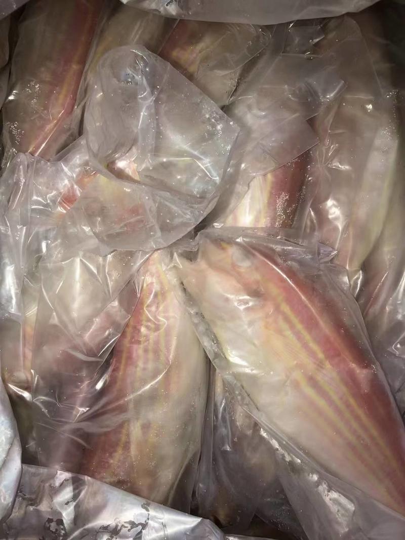 金线鱼、金丝红杉鱼、2条一斤规格、鲜度超靓一手货单条速冻
