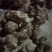 野生白肉土茯苓