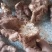 野生白肉土茯苓
