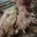 野生白肉土茯苓