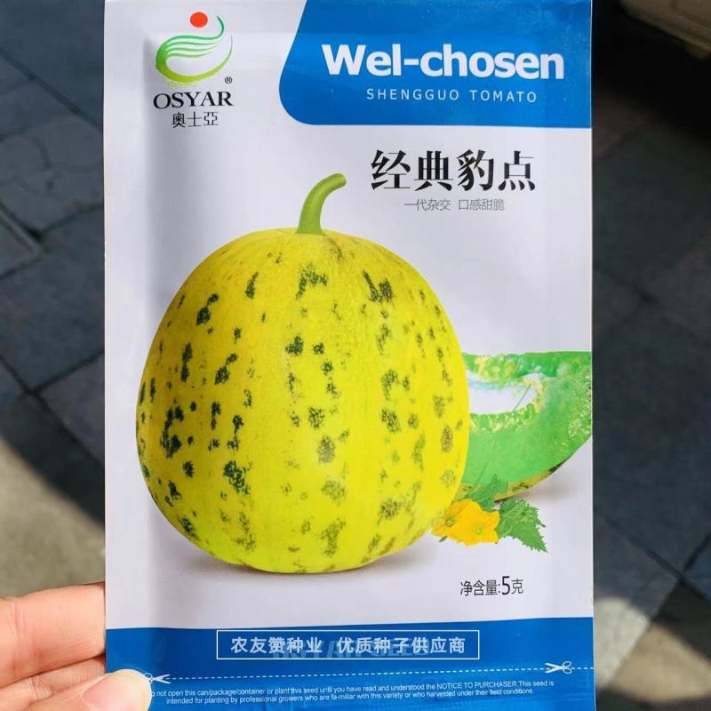 经典豹点甜瓜种子高糖甜脆特绿肉抗裂豹点黄甜瓜种子