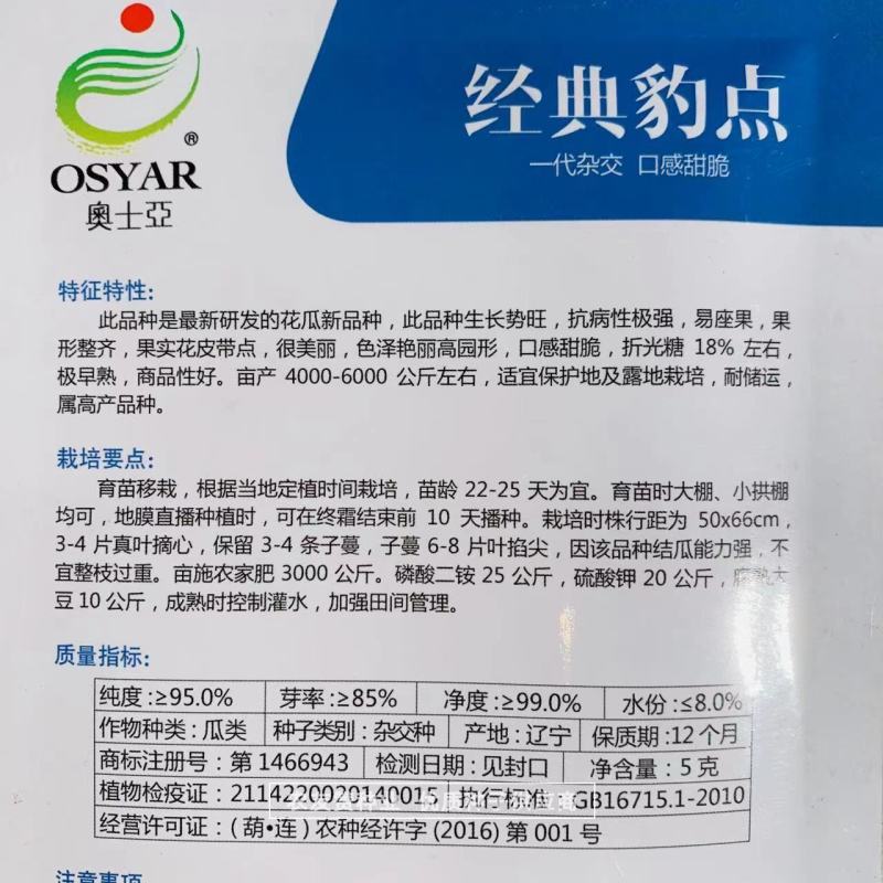 经典豹点甜瓜种子高糖甜脆特绿肉抗裂豹点黄甜瓜种子