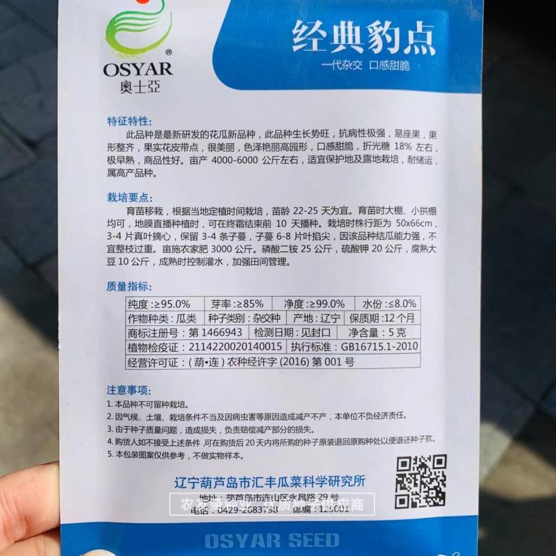 经典豹点甜瓜种子高糖甜脆特绿肉抗裂豹点黄甜瓜种子