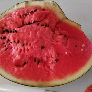 2023盖县陆地精品甜王西瓜🍉大量上市，全国代发。