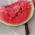 2023盖县陆地精品甜王西瓜🍉大量上市，全国代发。