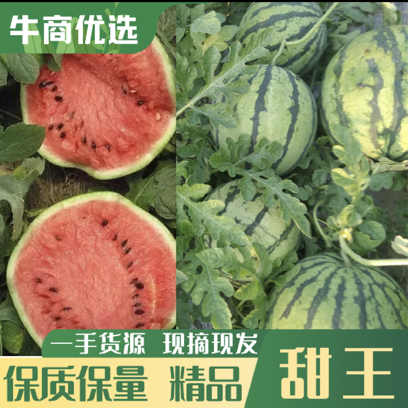 热卖辽宁精品甜王西瓜，大红瓤小薄皮，大量供应，全国发货