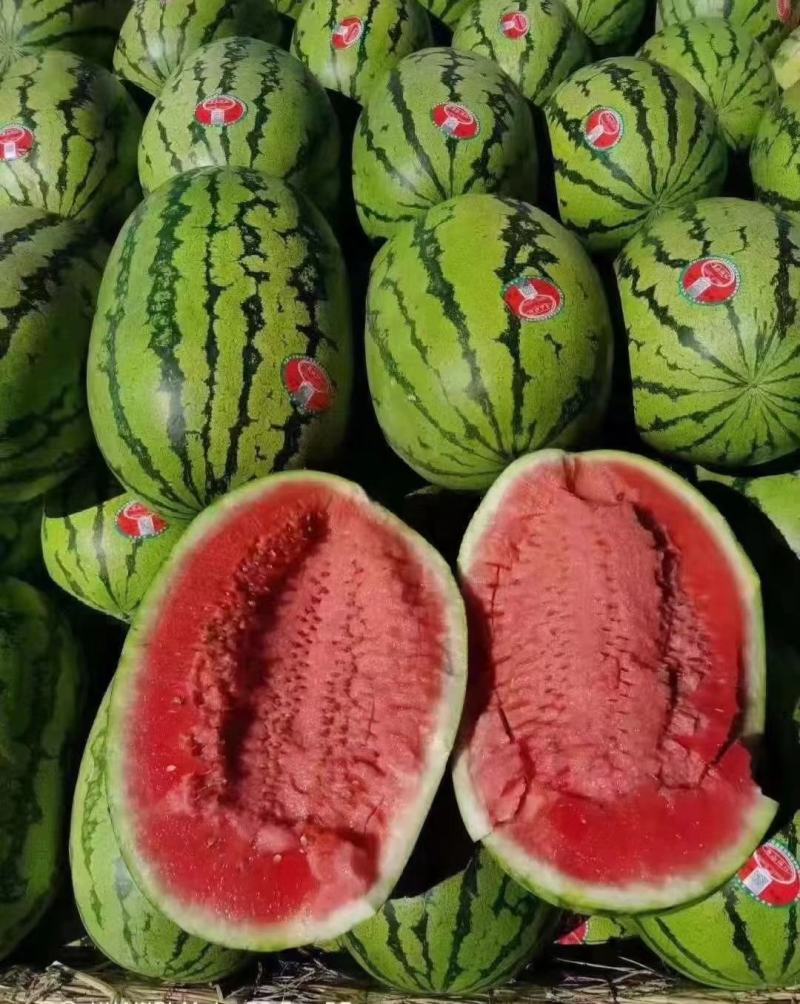 【推荐老店】宁夏石头瓜诚信报价产地直发质量保证