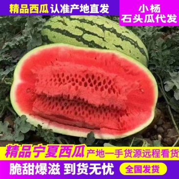 【推荐老店】宁夏石头瓜诚信报价产地直发质量保证