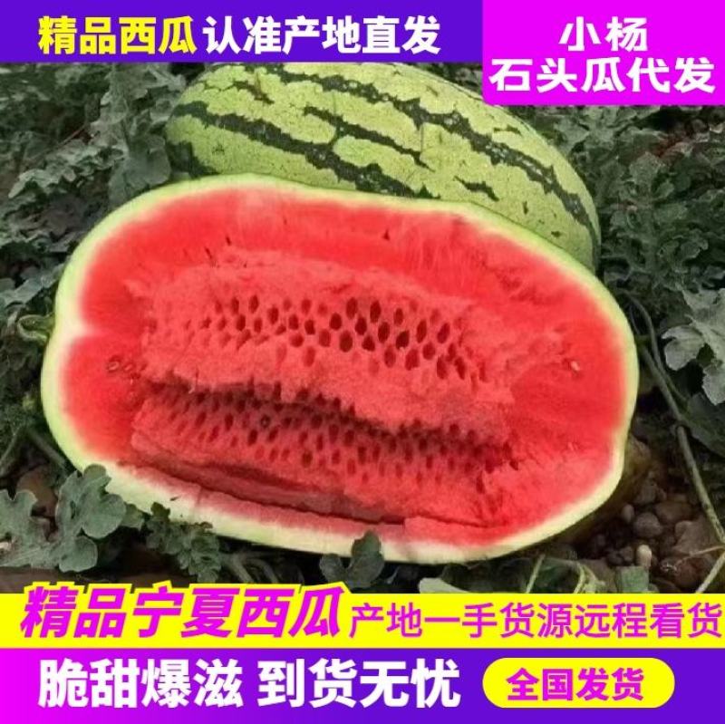 【推荐老店】宁夏石头瓜诚信报价产地直发质量保证