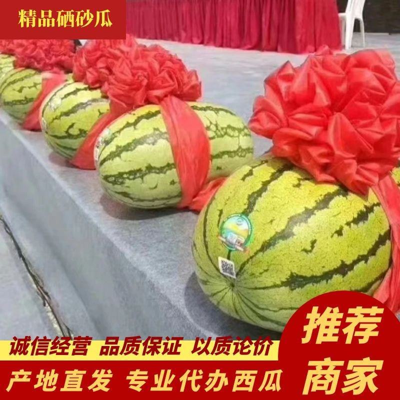 【精选】中卫西瓜金城5号西瓜头茬瓜大量上市中