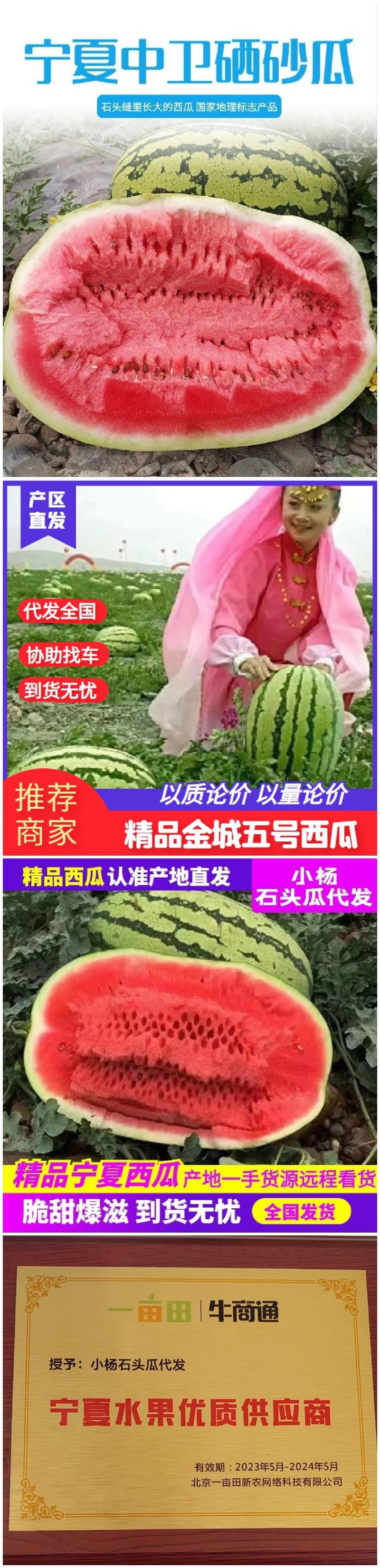 【精选】中卫西瓜金城5号西瓜头茬瓜大量上市中