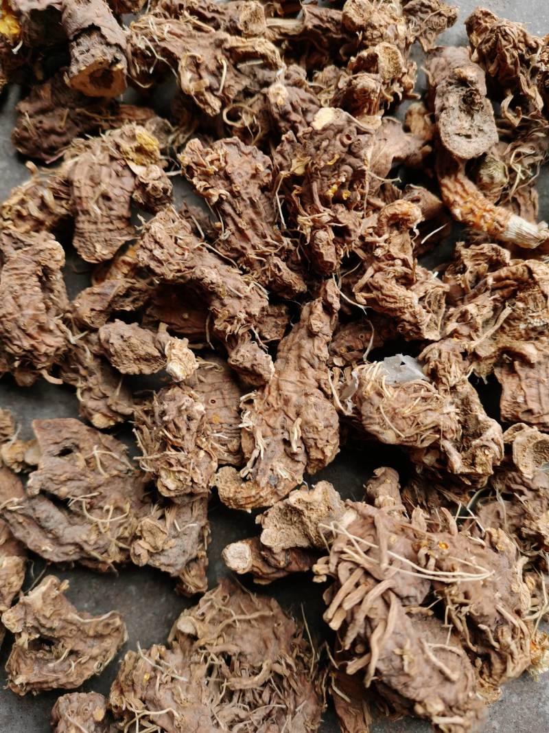 薪产新上市射干种子包技术指导产品收购常年购销