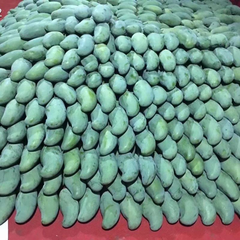 桂七香芒核心产区田东县出货一手货源供商超电商团购