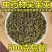 中药材野生吴茱萸新货天然无硫吴茱萸花小花吴茱萸药食两用茱