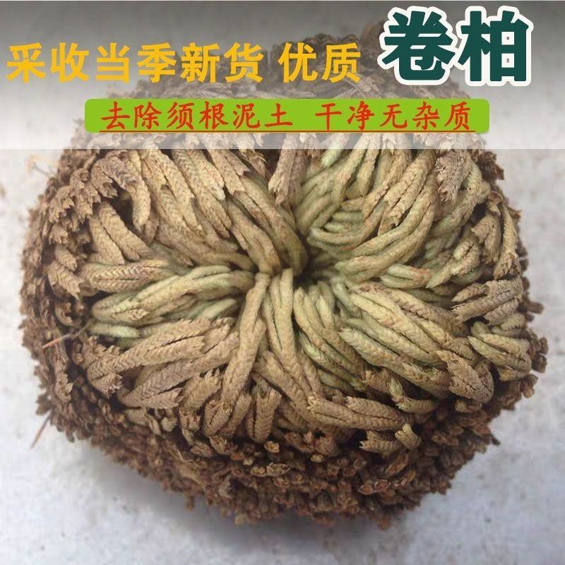 野生卷柏九生还魂草无硫不死草中药材店石柏还阳草岩柏草