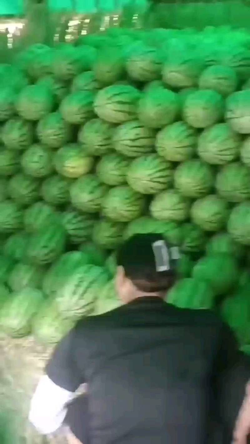 美都.硒砂瓜货源充足！产地基地自产自销！