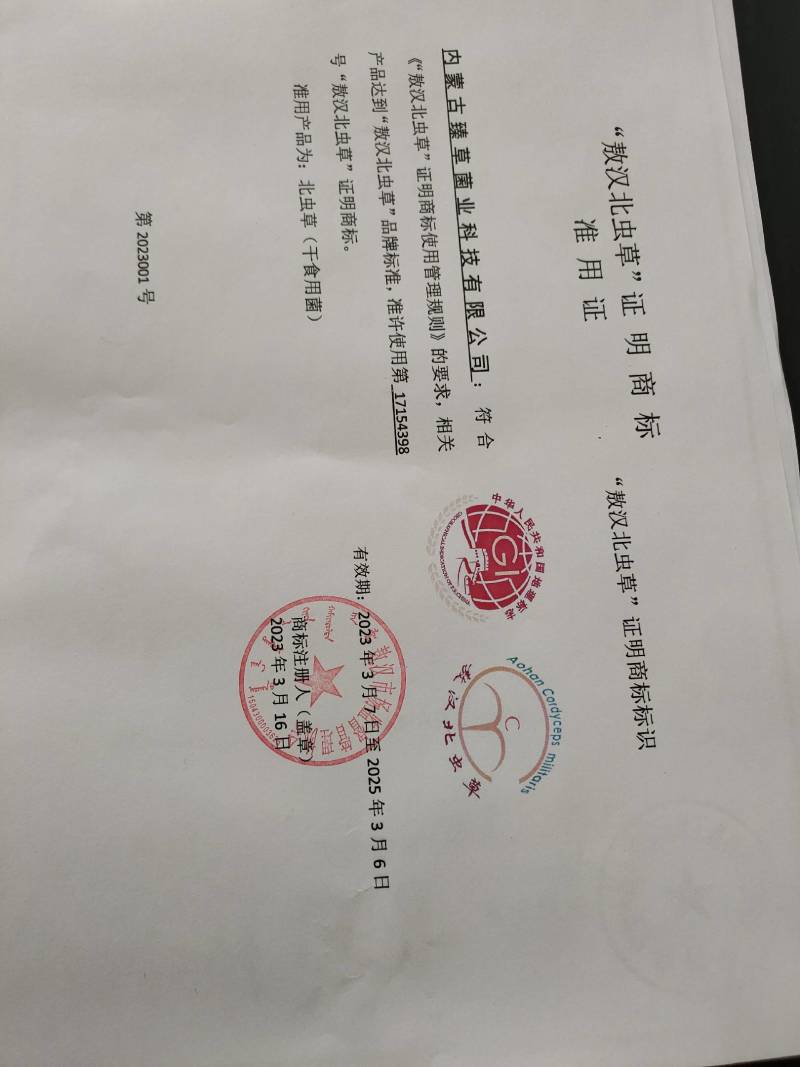 【地理标志产品】箱排虫草花适合回去打小包装损耗小性价比高