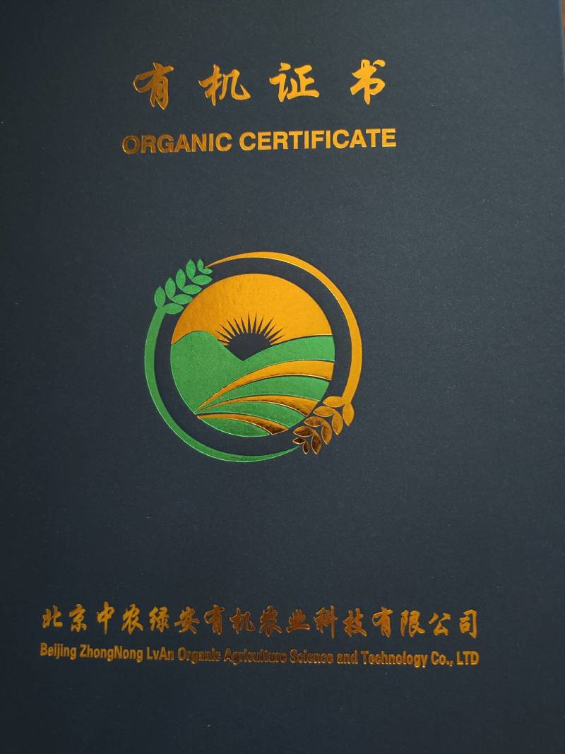 【有机虫草花】一级切根虫草花颜色好干净适合打小包装
