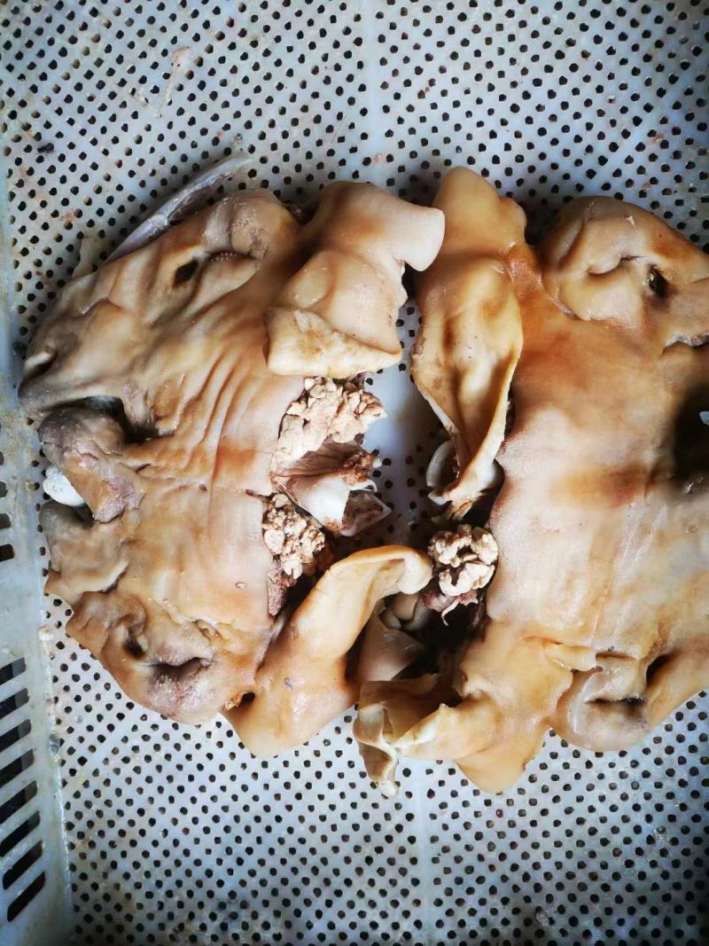 【羊杂】可直接食用山东滨州产地直发大量供应欢迎下单