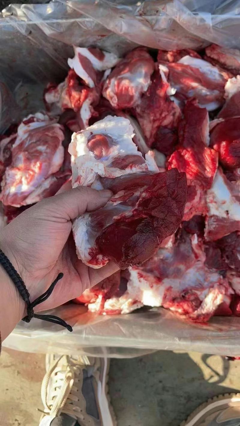 【推荐】牛肉块货源充足清真食品一手货源一件起批