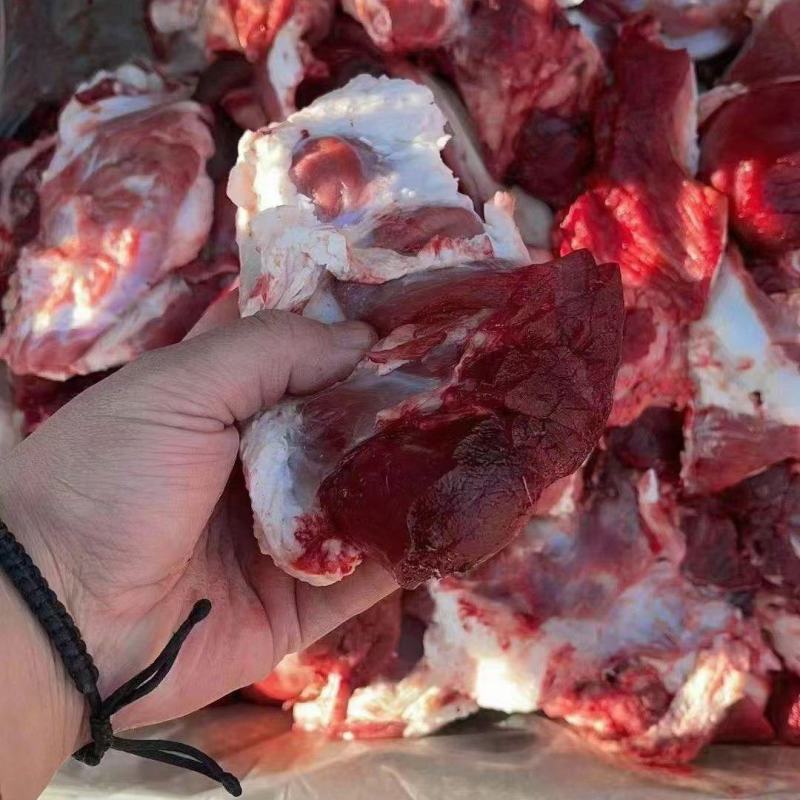 【推荐】牛肉块货源充足清真食品一手货源一件起批