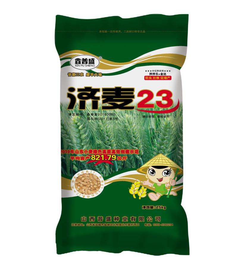 山东65公分特高产风和一号高抗高产小麦种子抗倒高抗赤霉病