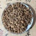 批发中药材益智仁香料批发益智仁量大价优