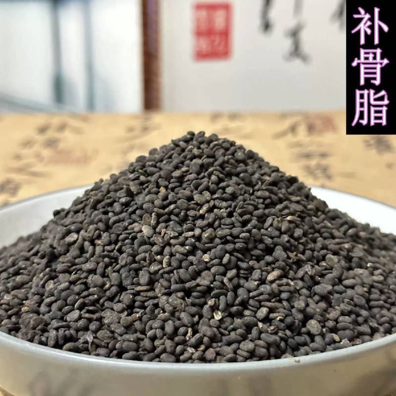 批发中药材补骨脂盐补骨脂破故纸黑故子实物拍摄