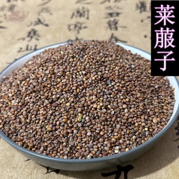 批发中药材莱菔子萝卜籽莱菔籽实物拍摄